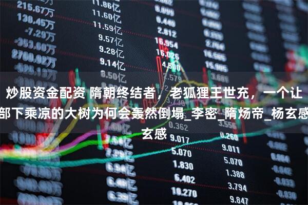 炒股资金配资 隋朝终结者，老狐狸王世充，一个让部下乘凉的大树为何会轰然倒塌_李密_隋炀帝_杨玄感