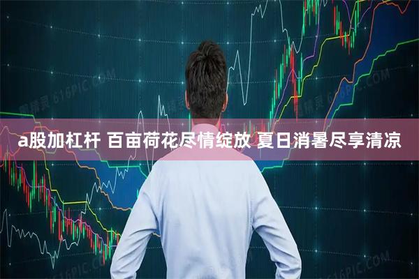 a股加杠杆 百亩荷花尽情绽放 夏日消暑尽享清凉