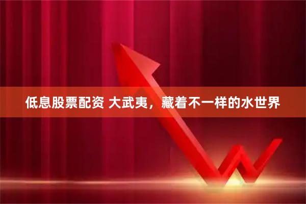 低息股票配资 大武夷，藏着不一样的水世界